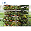 Industrial Good Quality Garden Danish Greenhouse Customized Dutch Display Galvanized Flower Trolley